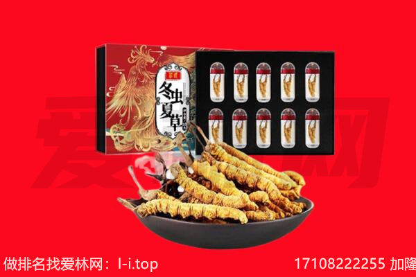 焦作市马村回收虫草.jpg